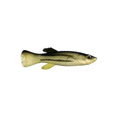 Artificial Mud Minnow 2-3/4" Horizontal Stripe 6 Pack - Almost Alive Lures