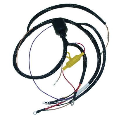Wiring Harness, Johnson, Evinrude 79-83 150-235 HP Outboards