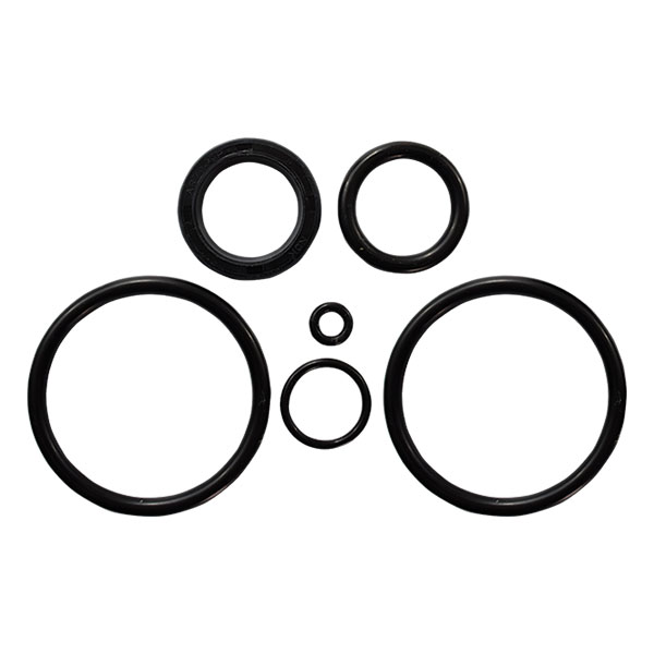 O-Ring Kit for BRP O-Ring Kit for SHOWA Power Tilt and Trim System Replaces 390007