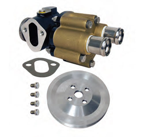 Raw Water Pumps and Parts