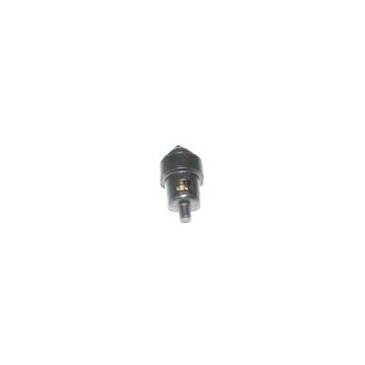 Thermostat for Johnson Evinrude 3 and V4 143 Degree 434137