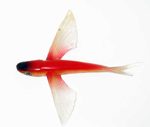 Flying Fish Red/Clear/Black Nose 6" - Almost Alive Lures