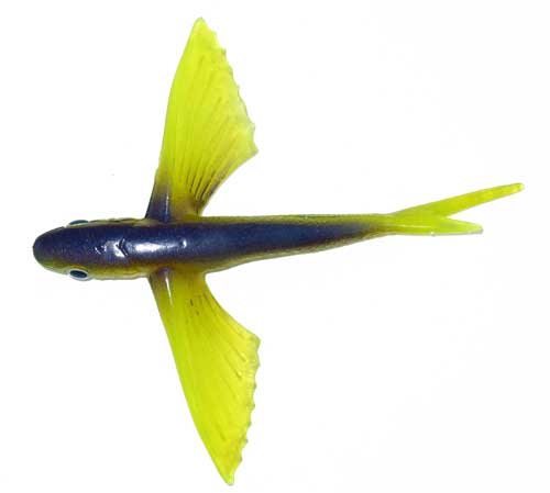 Flying Fish Lure (6 Inch)