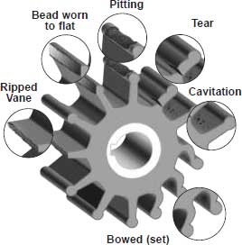 Inspection of Impellers