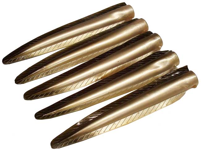 Large Eel Tail 5 Pack 7.25"