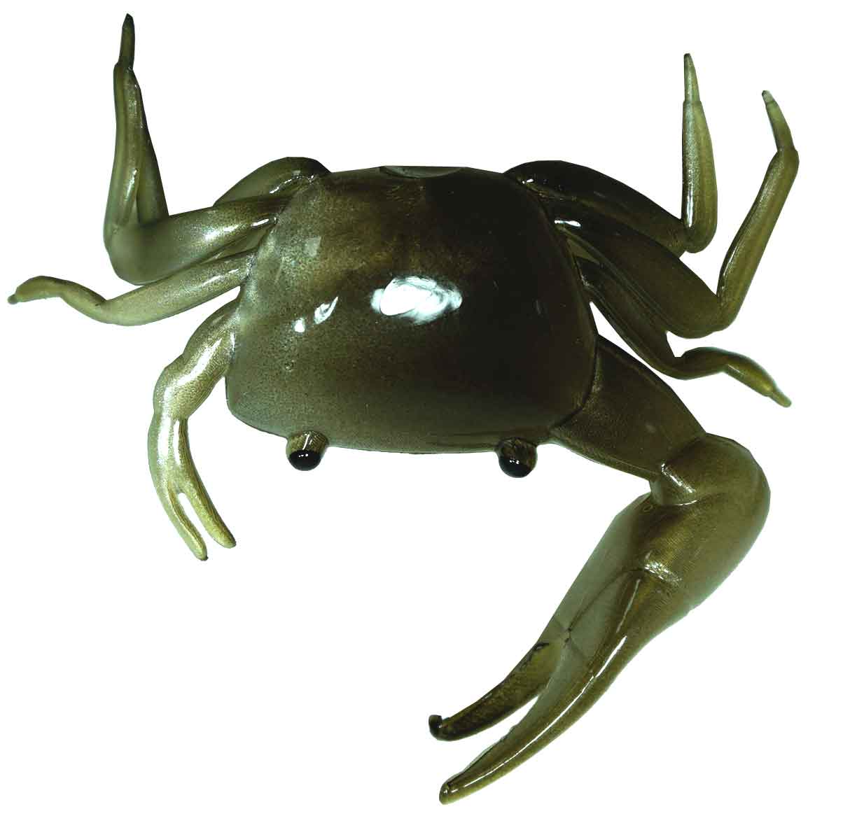 Artificial Fiddler Crab 2'' Eel 10 Pack - Almost Alive Lures