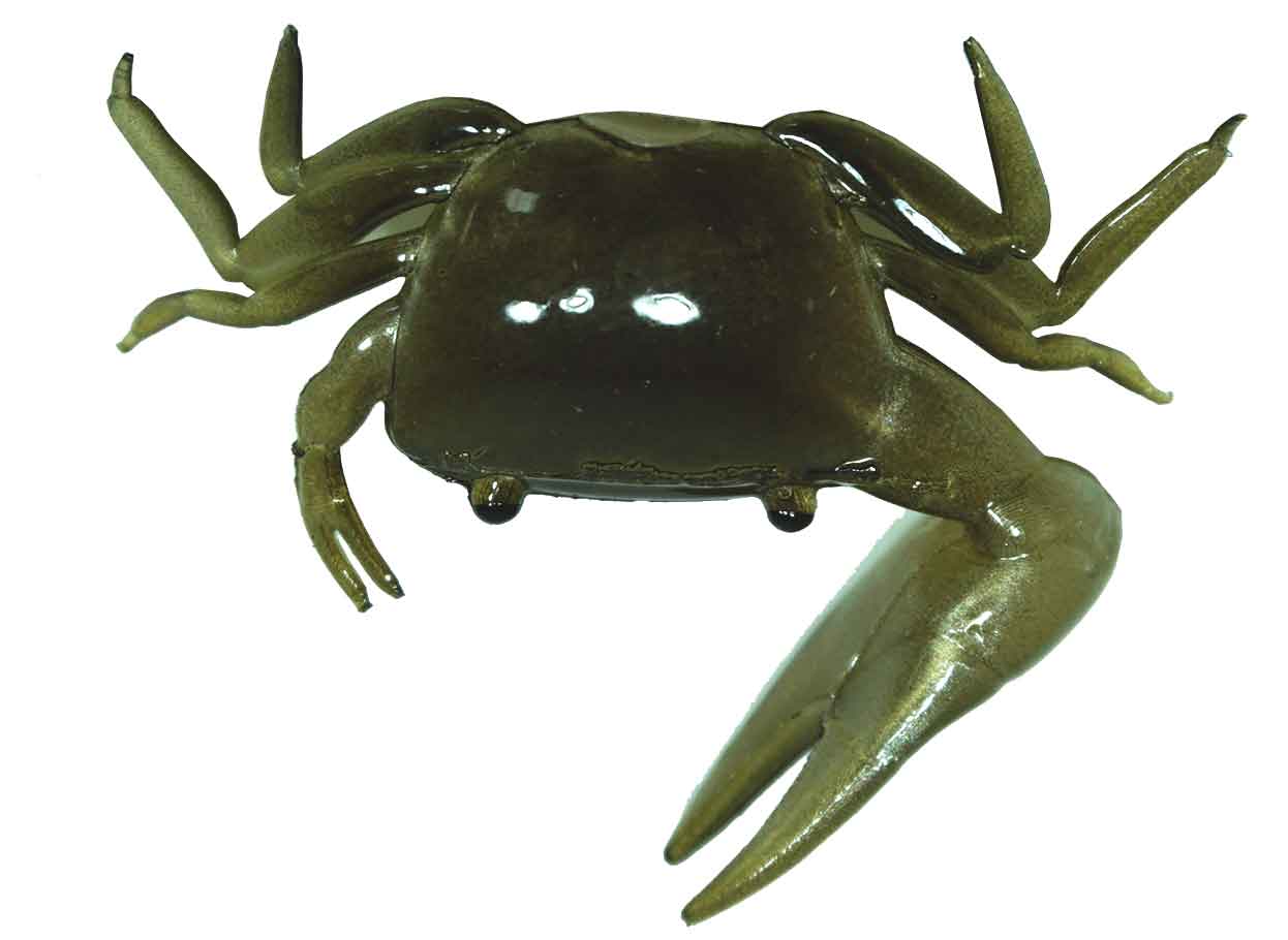 Artificial Fiddler Crab 1-1/2'' Eel 10 Pack - Almost Alive Lures