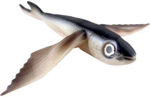 Flying Fish Natural 10" - Almost Alive Lures