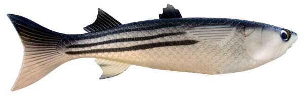 Artificial Striped Mullet 12 Inch - Almost Alive Lures