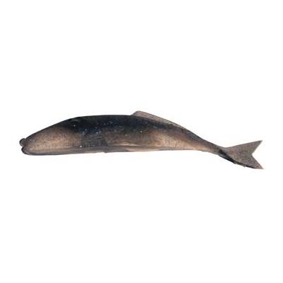 Soft Bait Straight Tail Brown 3.5 Inch 8 pack