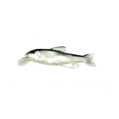 Mackerel- swim bait 5.5 cm - 2.2 in