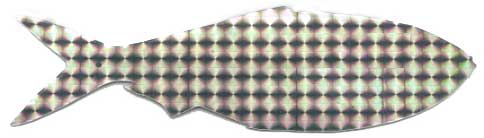 Closeup  of  Fish  Decal