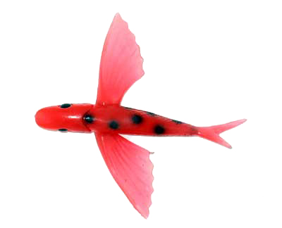 Flying Fish Red/Black Dot 4" - Almost Alive Lures