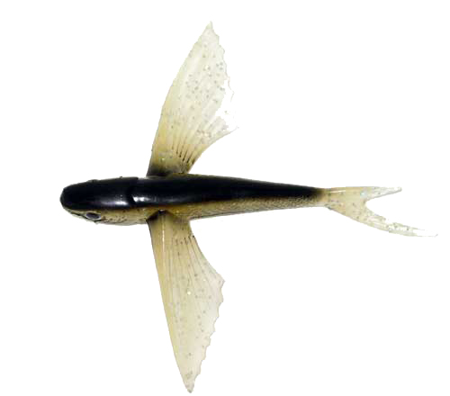 Flying Fish Black/Glitter 6" - Almost Alive Lures