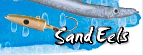 Sand Eels
