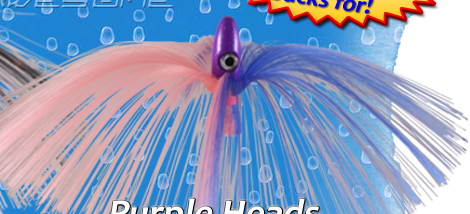 Purple Head Witch Lures
