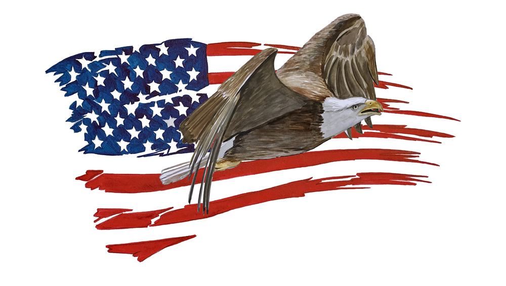 American Flag Tattered Eagle 1