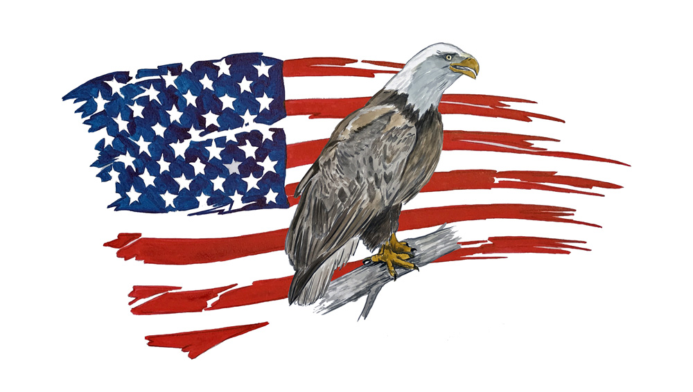 American Flag Tattered Eagle 2