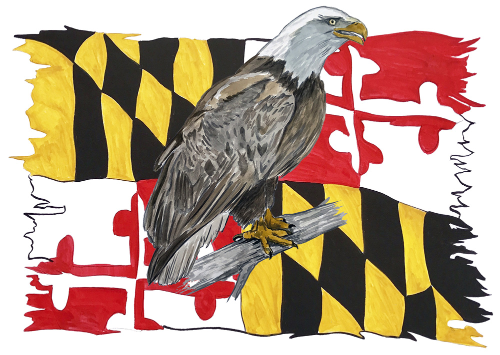 Maryland Flag Tattered w/ Eagle 2