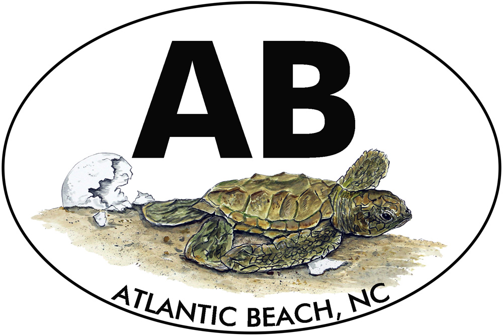 OBX- Atlantic Beach - Hatchling