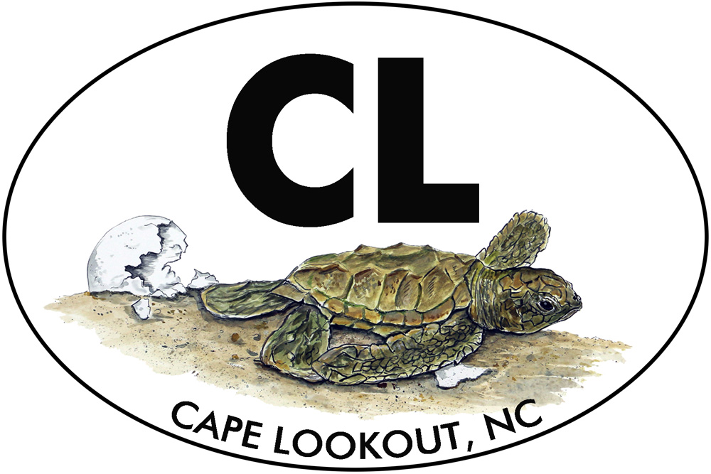 OBX - CL - Cape Lookout - Hatchling