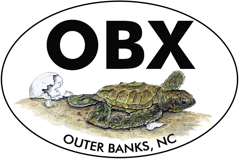 OBX - Outer Banks - Hatchling