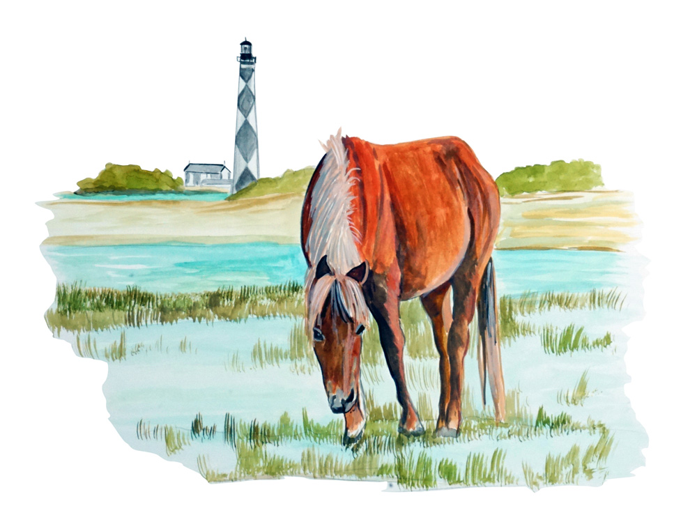 Cape Lookout Horse