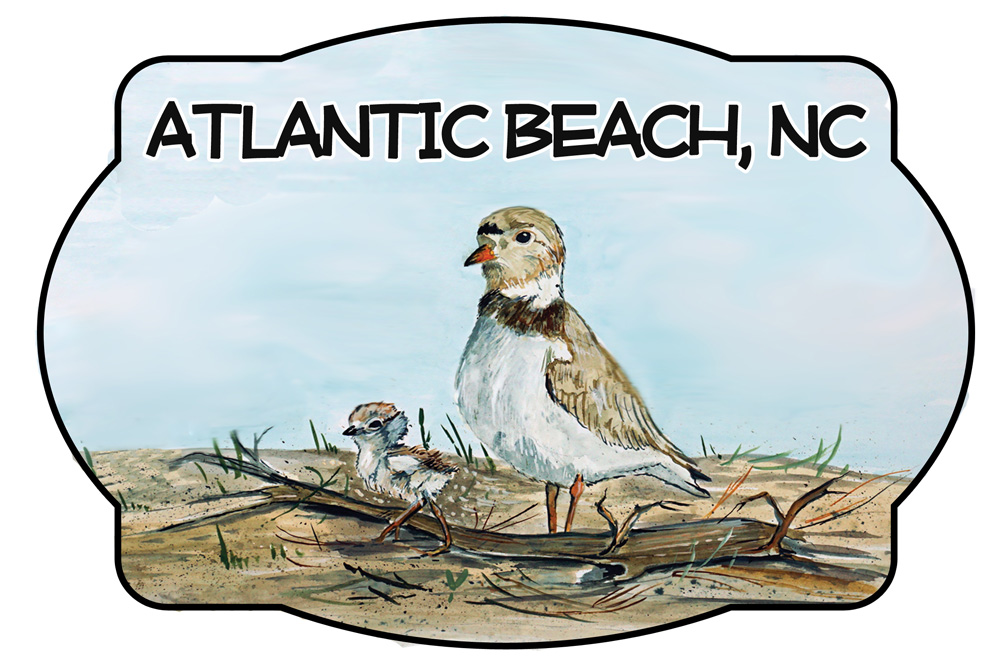 Atlantic Beach - Shorebird Scene