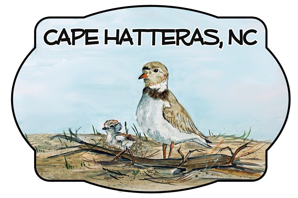 Cape Hatteras - Shorebird Scene