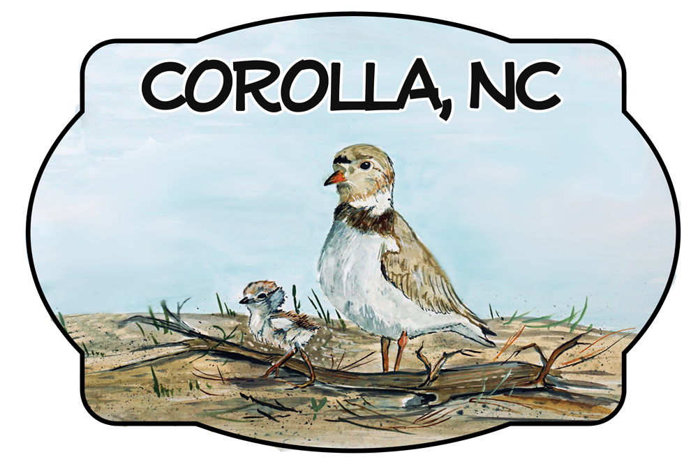 Corolla - Shorebird Scene