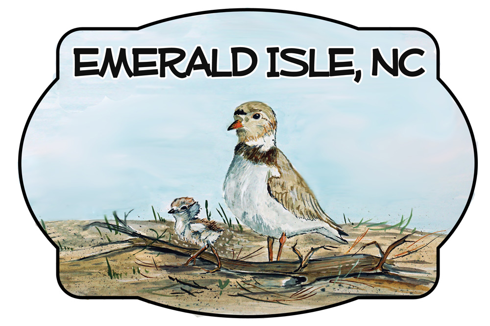 Emerald Isle - Shorebird Scene