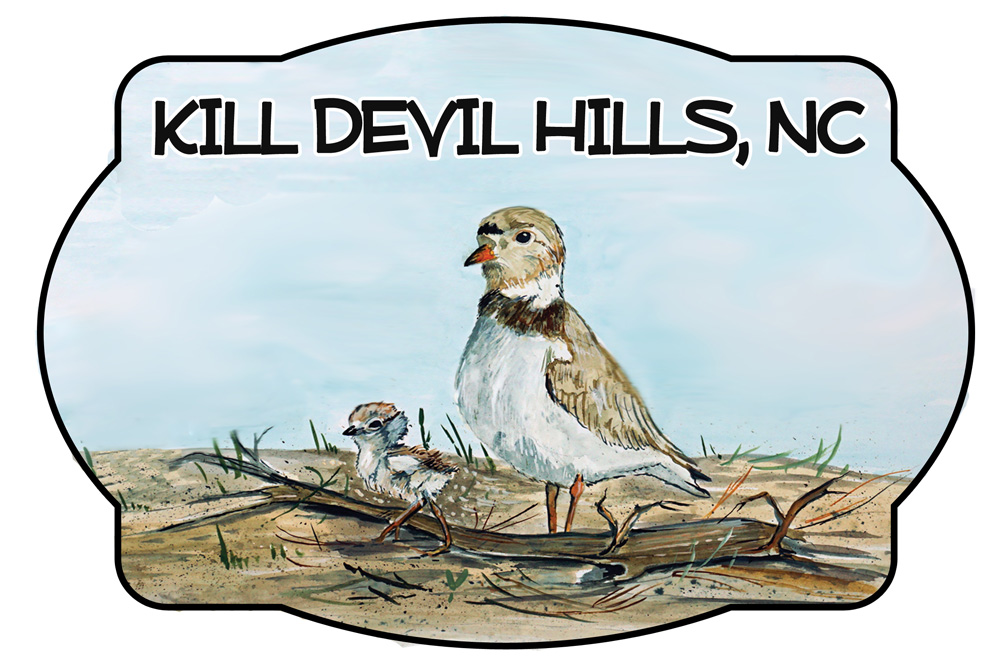 Kill Devil Hill - Shorebird Scene