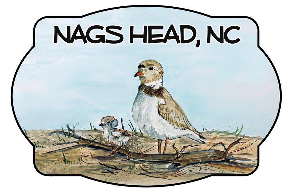 Nags Head - Shorebird Scene