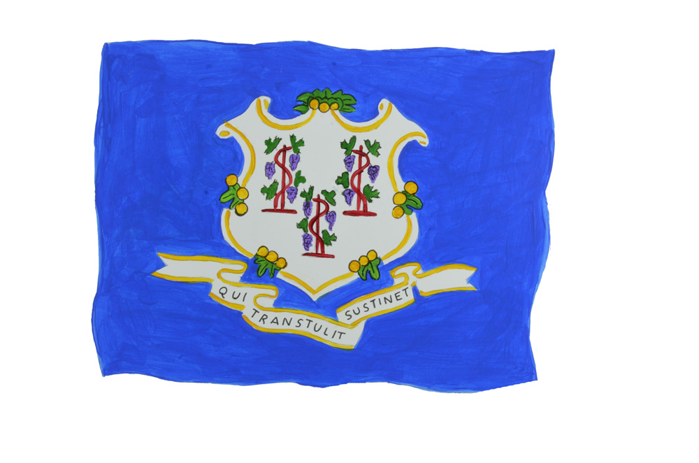 CONNECTICUT STATE FLAG