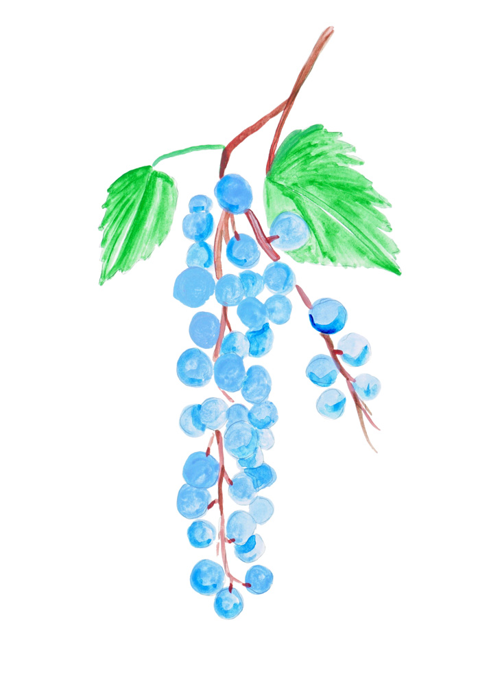 Grape Berries