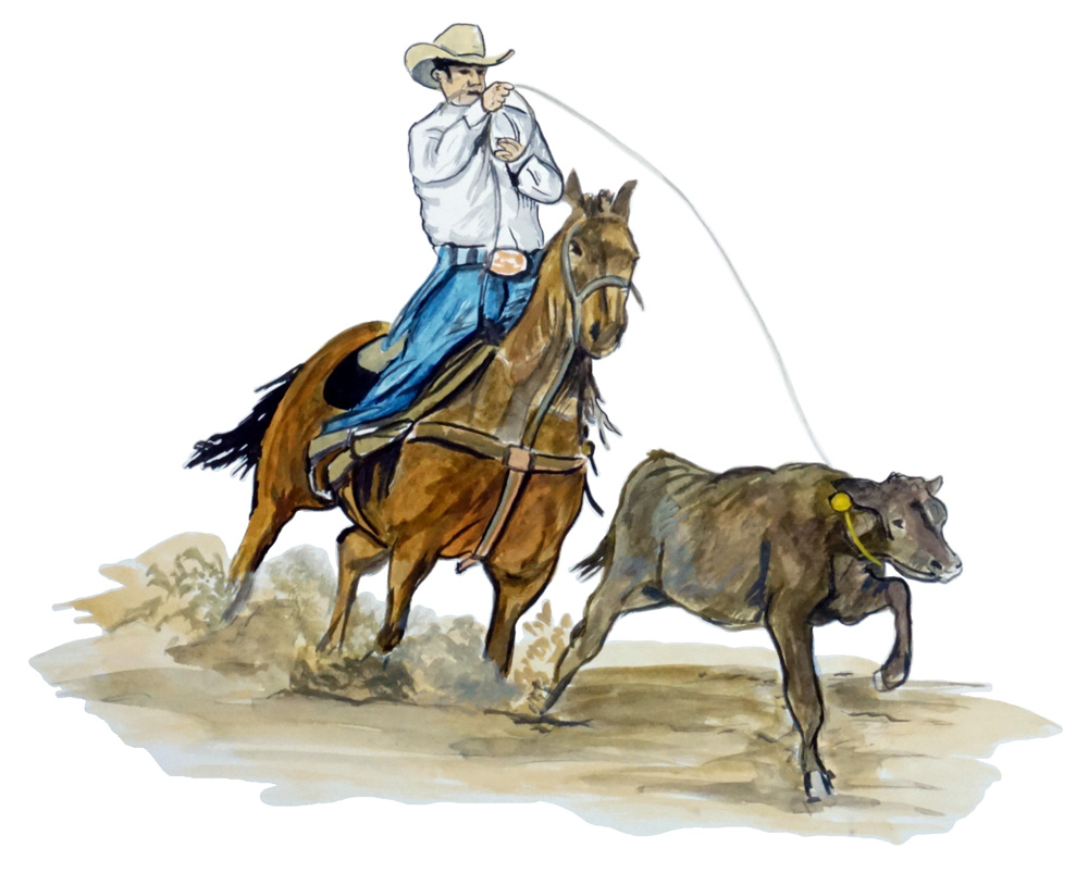 Cowboy Lassos Calf