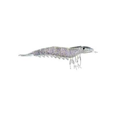 Artificial Shrimp Hook Only 3-1/4 Rootbeer 6 Pack - Almost Alive Lures  [GS325LHO116] - $6.49 : ebasicpower.com, Marine Engine Parts, Fishing  Tackle