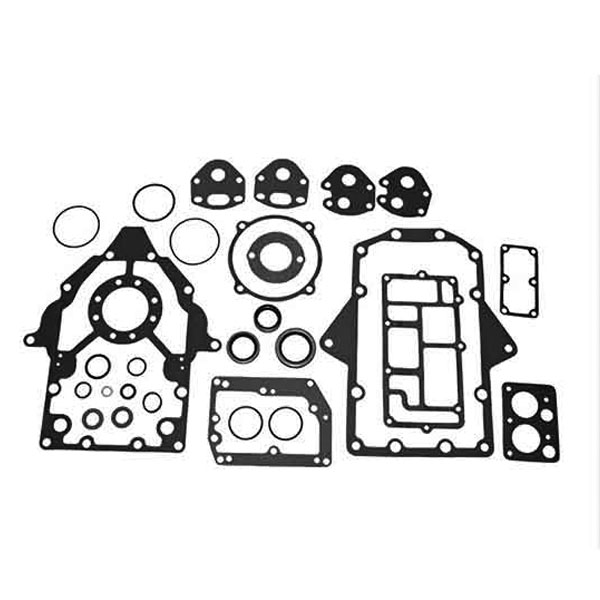 Seal and Gasket Kit for OMC Stringer Replaces 981800